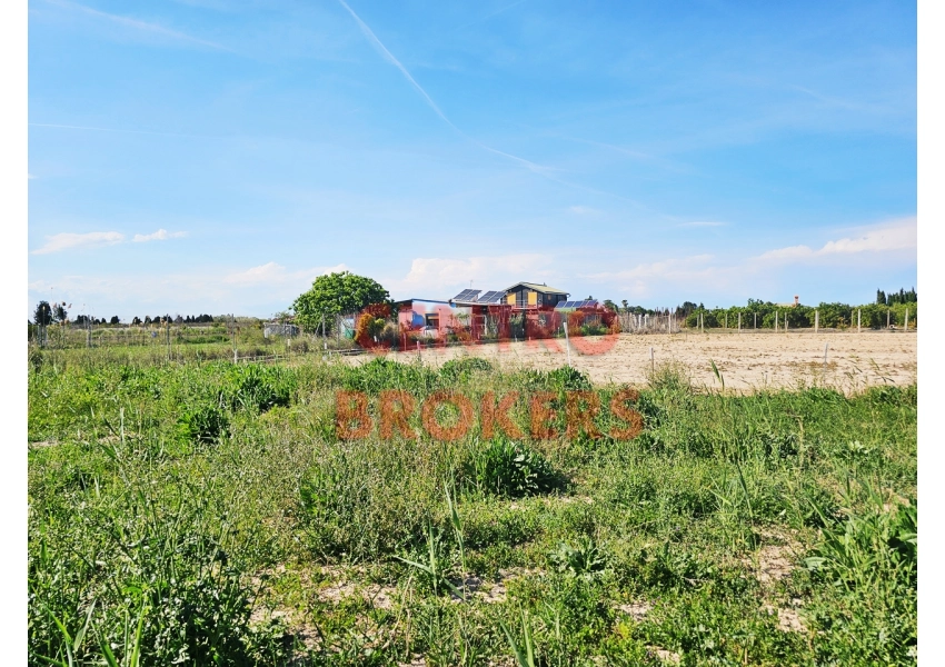 Ziemia rolna - grunt rolny w Cullera, Walencja